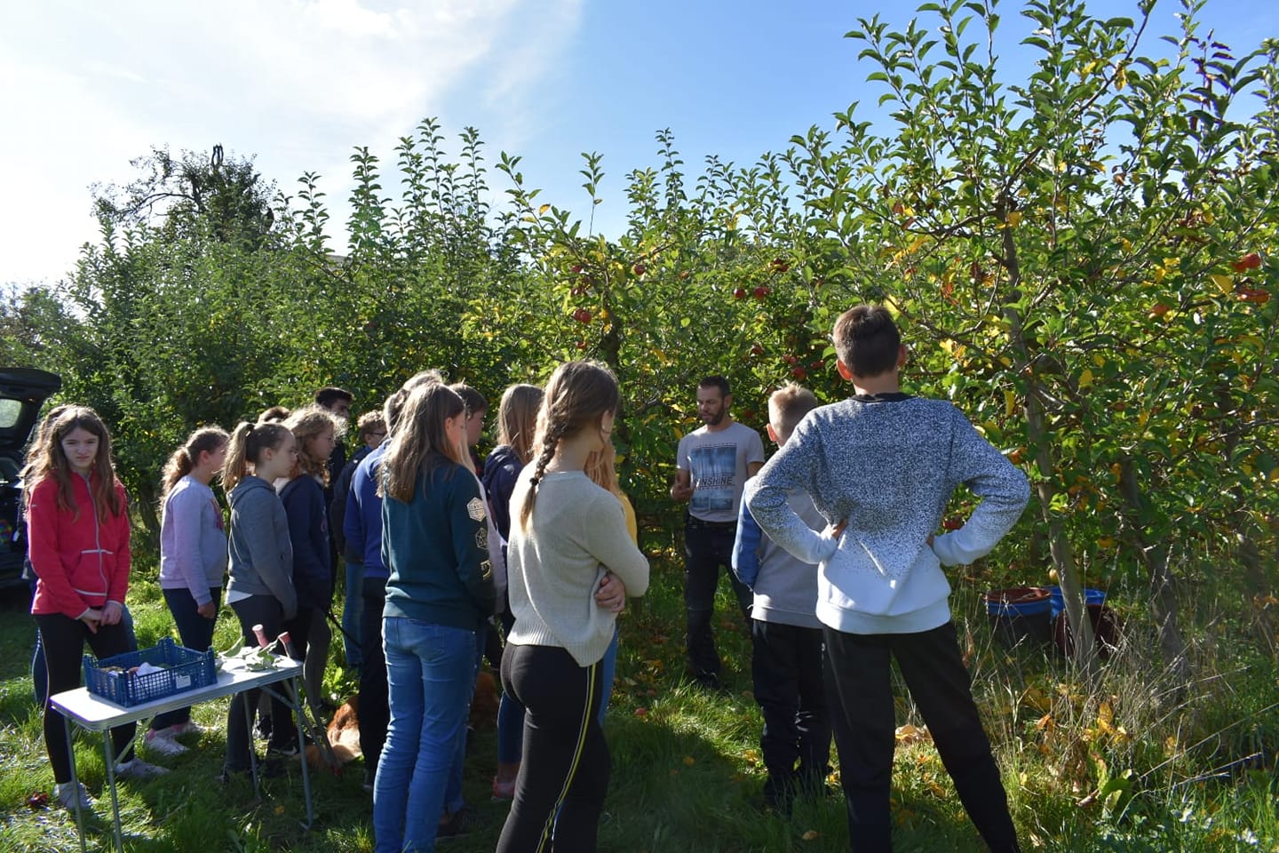 2019 Apfel 01